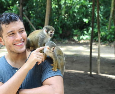 Man establishing contact with wild monkeys.