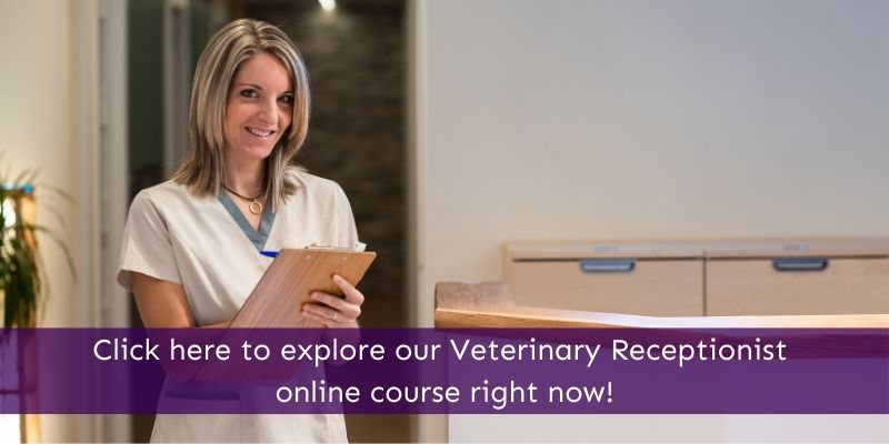 Veterinary Receptionist online courses Animal Courses Direct